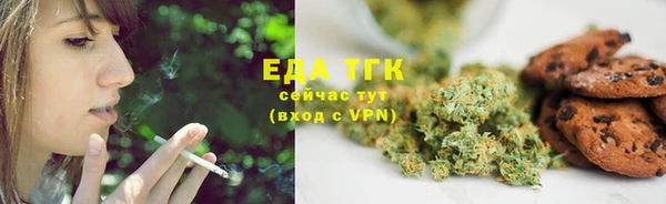 прущие грибы Алзамай